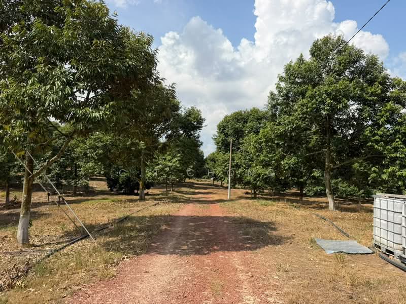 Agricultural Land for Sale in Simpang Renggam (Johor) - C.T Chong - Exterior - PropertyGuru.com.my