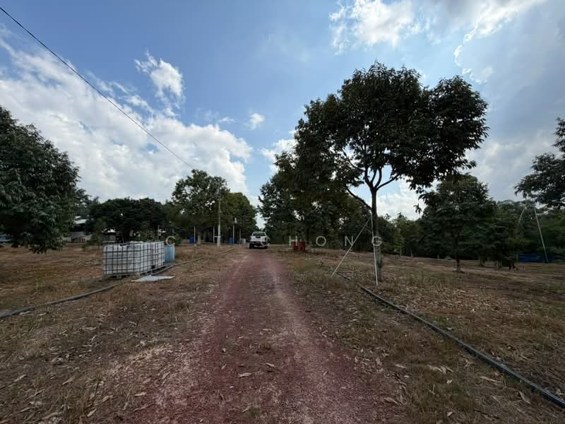 Agricultural Land for Sale in Simpang Renggam (Johor) - C.T Chong - Exterior - PropertyGuru.com.my