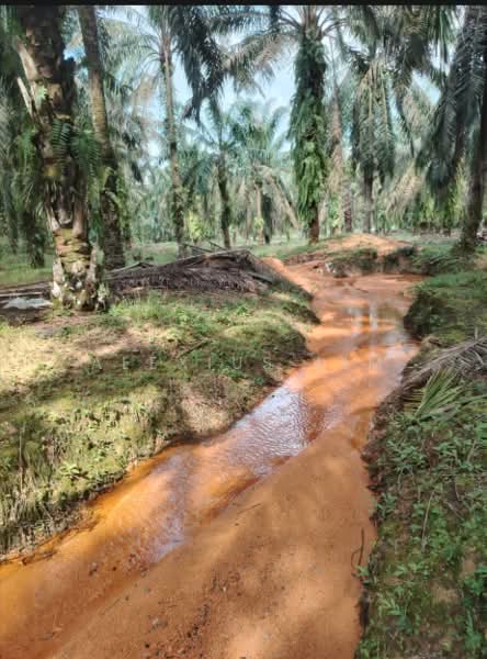 Agricultural Land for Sale in Kota Tinggi (Johor) - Alexius Lim - Exterior - PropertyGuru.com.my