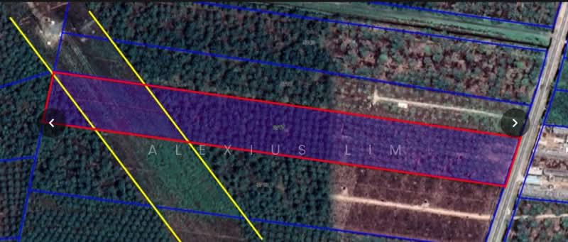 Agricultural Land for Sale in Pekan Nenas (Johor) - Alexius Lim - PropertyGuru.com.my