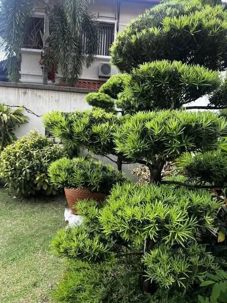 Bungalow House for Sale in Bukit Rahman Putra (Sungai Buloh) - HL Qua - Exterior - PropertyGuru.com.my