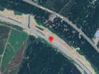 For Sale - Paloh