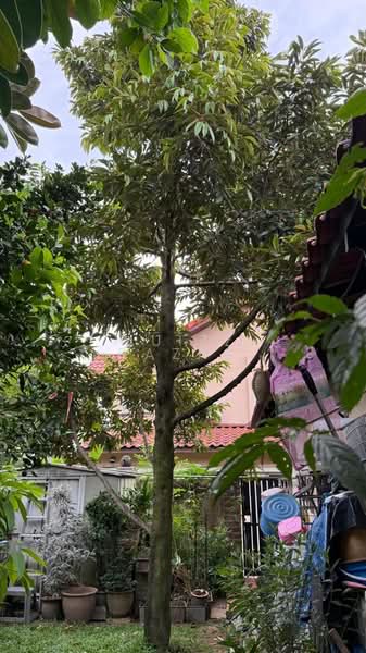 2-storey Terraced House for Sale in Usj 11 (Subang Jaya) - Muizz Razak - PropertyGuru.com.my
