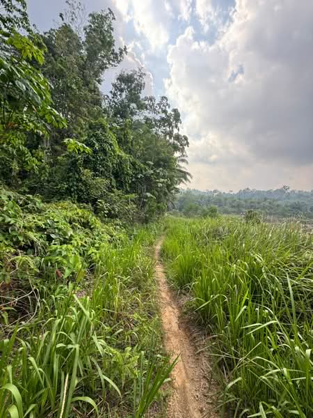 Agricultural Land for Sale in Ulu Choh (Jeram Batu) - Shela Lim - PropertyGuru.com.my