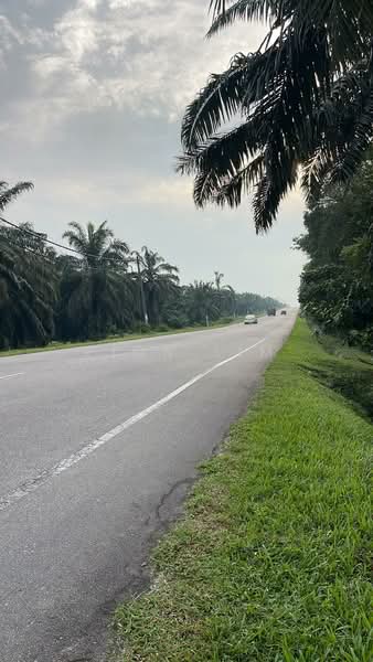 Agricultural Land for Sale in Kota Tinggi (Johor) - Fion Lim - PropertyGuru.com.my