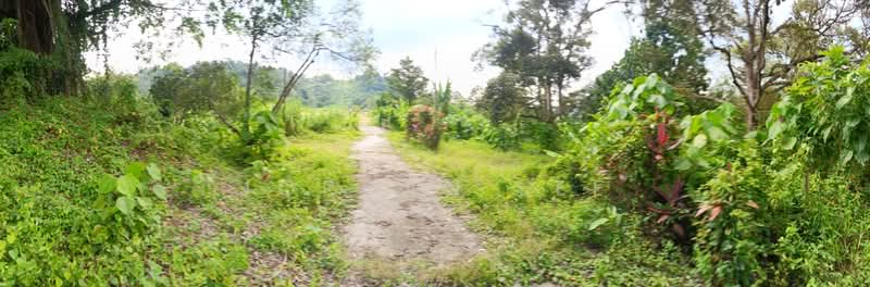 Tanah Pertanian untuk Dijual di Mantin (Negeri Sembilan) - Jordan Lee - Exterior - PropertyGuru.com.my