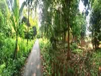 For Sale - Pasir Mas