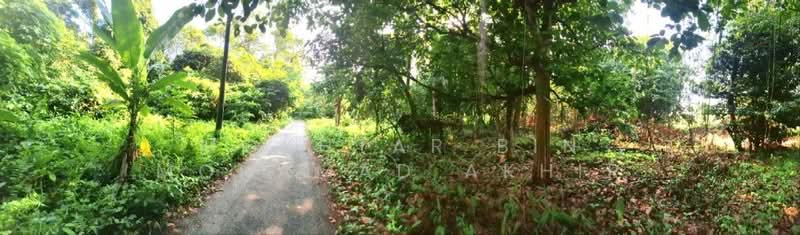 Other Property for Sale in Pasir Mas (Kelantan) - Mokhtar Bin Mohamad Akhir - Exterior - PropertyGuru.com.my