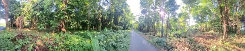 Other Property for Sale in Pasir Mas (Kelantan) - Mokhtar Bin Mohamad Akhir - Exterior - PropertyGuru.com.my