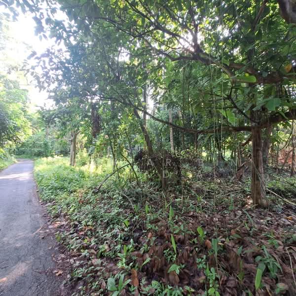 Other Property for Sale in Pasir Mas (Kelantan) - Mokhtar Bin Mohamad Akhir - Exterior - PropertyGuru.com.my