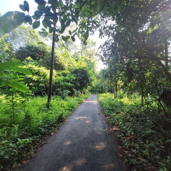 Other Property for Sale in Pasir Mas (Kelantan) - Mokhtar Bin Mohamad Akhir - Exterior - PropertyGuru.com.my