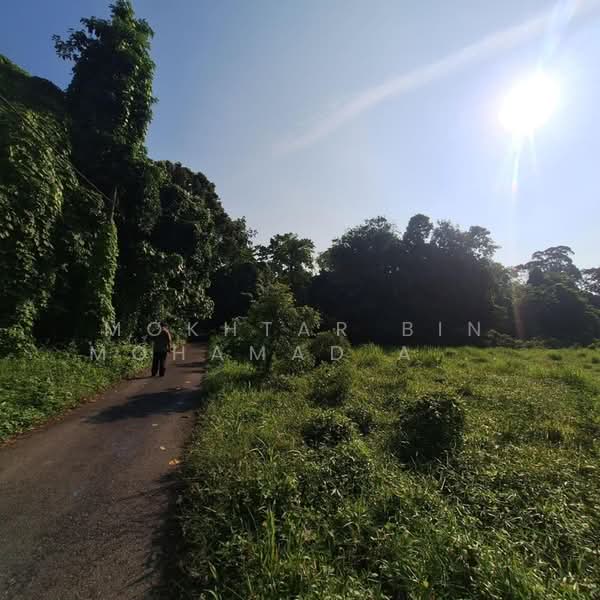 Other Property for Sale in Pasir Mas (Kelantan) - Mokhtar Bin Mohamad Akhir - Exterior - PropertyGuru.com.my