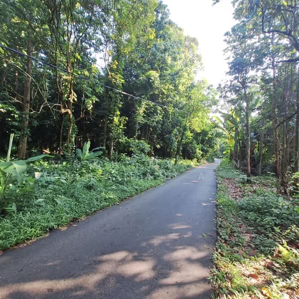 Other Property for Sale in Pasir Mas (Kelantan) - Mokhtar Bin Mohamad Akhir - Exterior - PropertyGuru.com.my