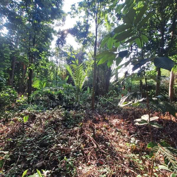 Other Property for Sale in Pasir Mas (Kelantan) - Mokhtar Bin Mohamad Akhir - PropertyGuru.com.my