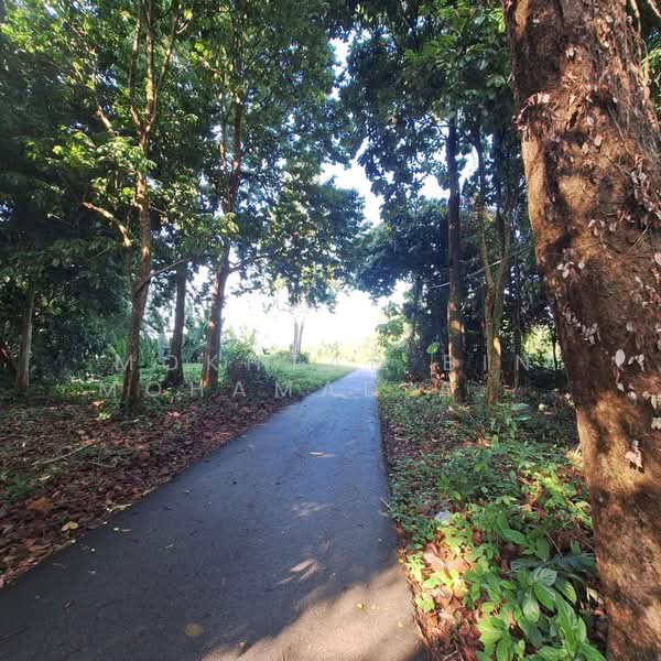 Other Property for Sale in Pasir Mas (Kelantan) - Mokhtar Bin Mohamad Akhir - PropertyGuru.com.my