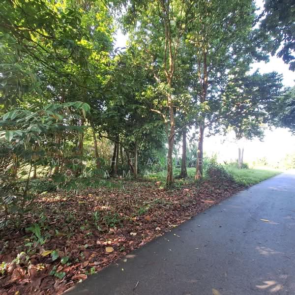 Other Property for Sale in Pasir Mas (Kelantan) - Mokhtar Bin Mohamad Akhir - Exterior - PropertyGuru.com.my