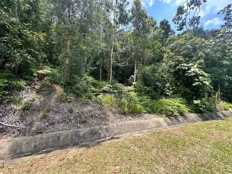 Agricultural Land for Sale in Jalan Kampung Chabang (Kemasik) - Nazree Abdul Aziz - PropertyGuru.com.my