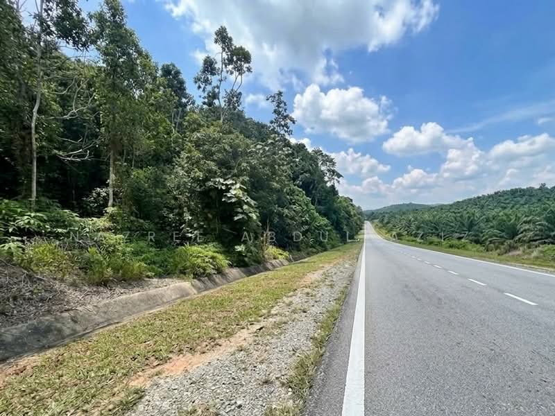 Agricultural Land for Sale in Jalan Kampung Chabang (Kemasik) - Nazree Abdul Aziz - PropertyGuru.com.my