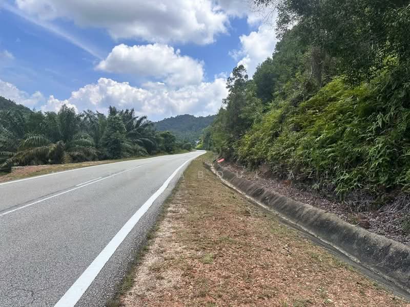 Agricultural Land for Sale in Jalan Kampung Chabang (Kemasik) - Nazree Abdul Aziz - PropertyGuru.com.my