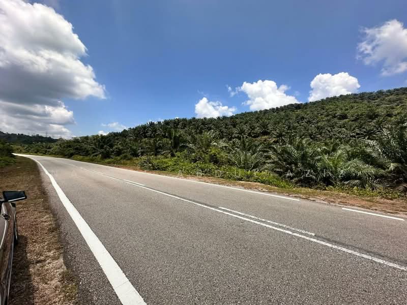 Agricultural Land for Sale in Jalan Kampung Chabang (Kemasik) - Nazree Abdul Aziz - PropertyGuru.com.my