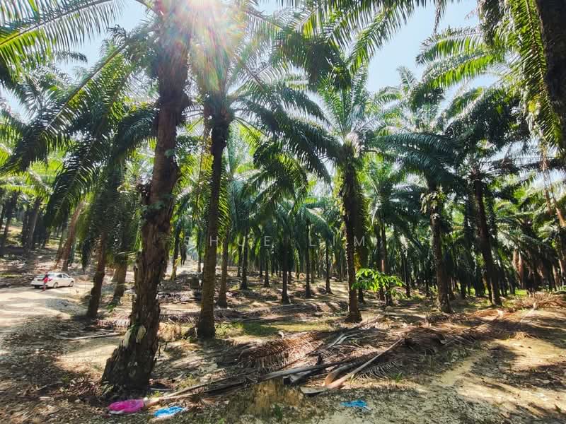 Industrial Land for Rent in Alma (Bukit Mertajam) - Shue Lim - Exterior - PropertyGuru.com.my