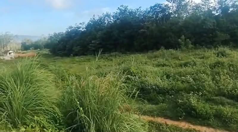 Residential Land for Sale in Machang (Kelantan) - NIK AZWAN - Exterior - PropertyGuru.com.my