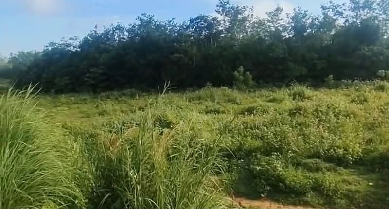Residential Land for Sale in Machang (Kelantan) - NIK AZWAN - Exterior - PropertyGuru.com.my
