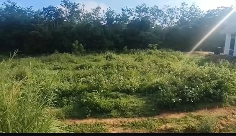 Residential Land for Sale in Machang (Kelantan) - NIK AZWAN - Exterior - PropertyGuru.com.my