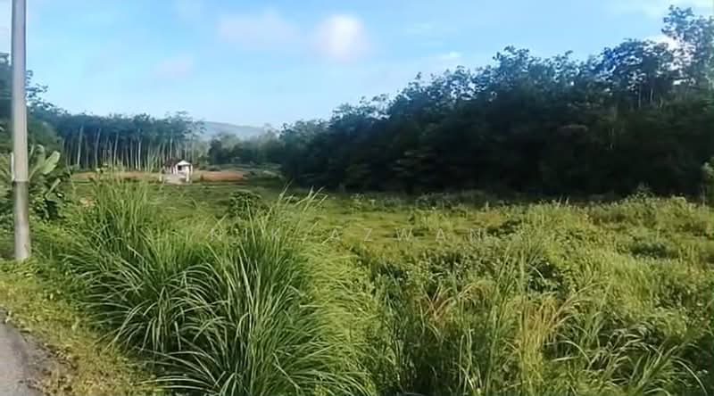 Residential Land for Sale in Machang (Kelantan) - NIK AZWAN - Exterior - PropertyGuru.com.my