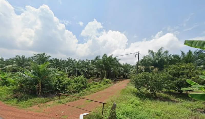 Industrial Land for Sale in Muar (Johor) - Cyrus Soon - Garden - PropertyGuru.com.my