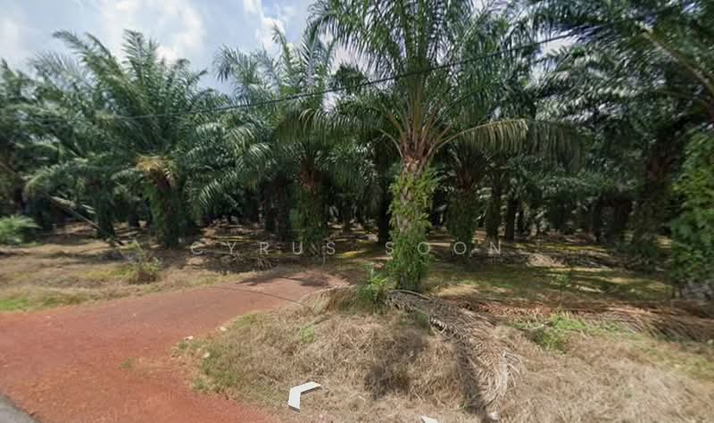 Industrial Land for Sale in Muar (Johor) - Cyrus Soon - Exterior - PropertyGuru.com.my