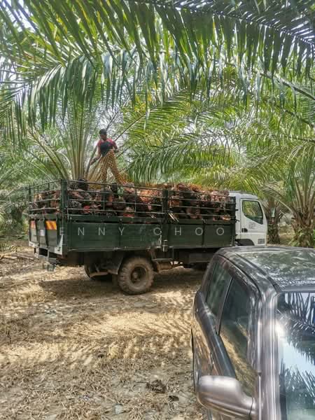 Agricultural Land for Sale in Jeram (Perak) - Jenny Choong - PropertyGuru.com.my