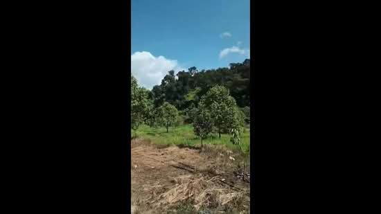 Tanah Pertanian untuk Dijual di Bentong (Pahang) - Yew Foong Wong - PropertyGuru.com.my