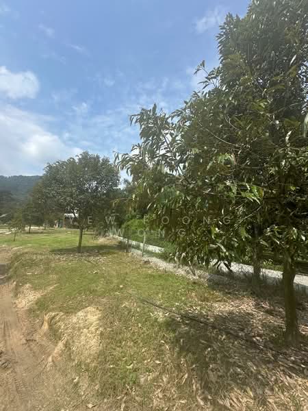 Tanah Pertanian untuk Dijual di Bentong (Pahang) - Yew Foong Wong - Exterior - PropertyGuru.com.my