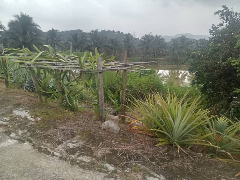 Agricultural Land for Sale in Karak (Pahang) - Shirley Sai - PropertyGuru.com.my