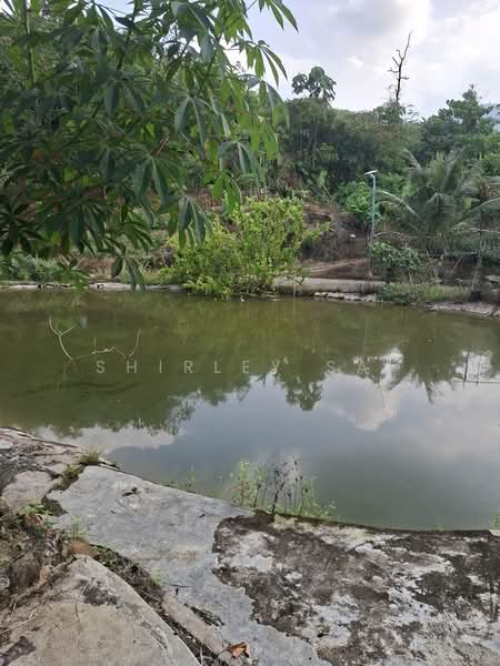 Agricultural Land for Sale in Karak (Pahang) - Shirley Sai - PropertyGuru.com.my