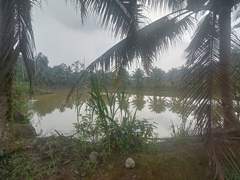 Agricultural Land for Sale in Karak (Pahang) - Shirley Sai - PropertyGuru.com.my
