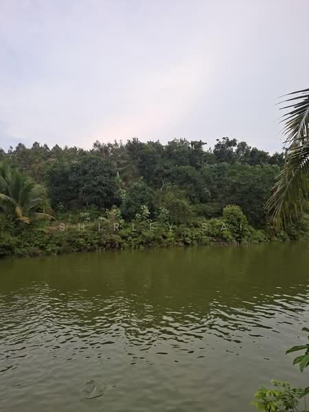 Agricultural Land for Sale in Karak (Pahang) - Shirley Sai - PropertyGuru.com.my