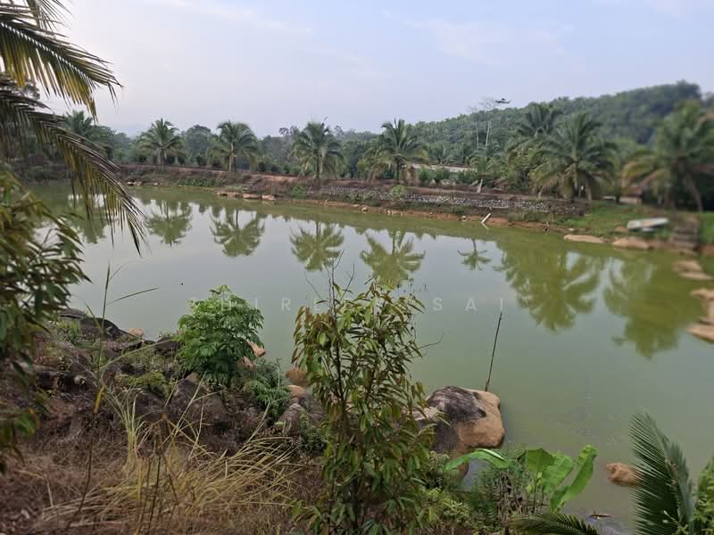 Agricultural Land for Sale in Karak (Pahang) - Shirley Sai - PropertyGuru.com.my