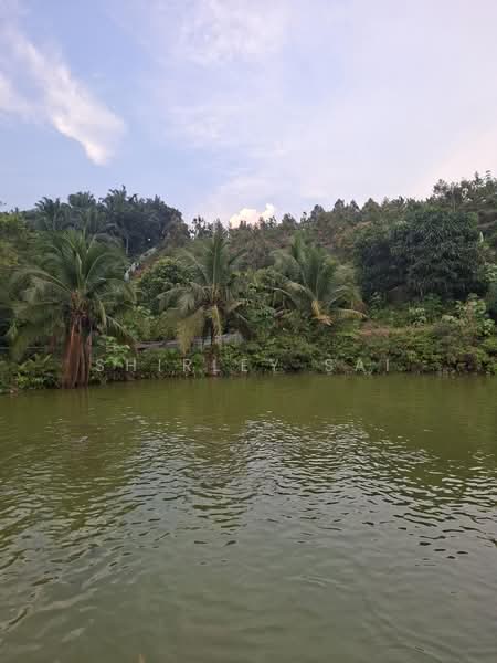 Agricultural Land for Sale in Karak (Pahang) - Shirley Sai - PropertyGuru.com.my