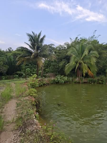Agricultural Land for Sale in Karak (Pahang) - Shirley Sai - PropertyGuru.com.my