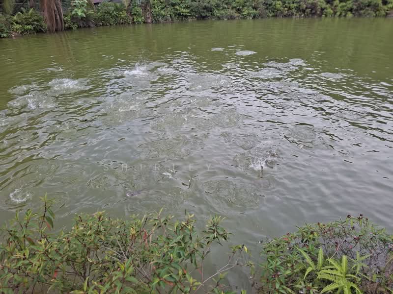 Agricultural Land for Sale in Karak (Pahang) - Shirley Sai - PropertyGuru.com.my