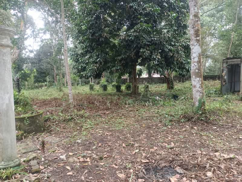 Tanah Pertanian untuk Dijual di Kampung Lubok Kelubi (Hulu Langat) - Serena Ismail - PropertyGuru.com.my