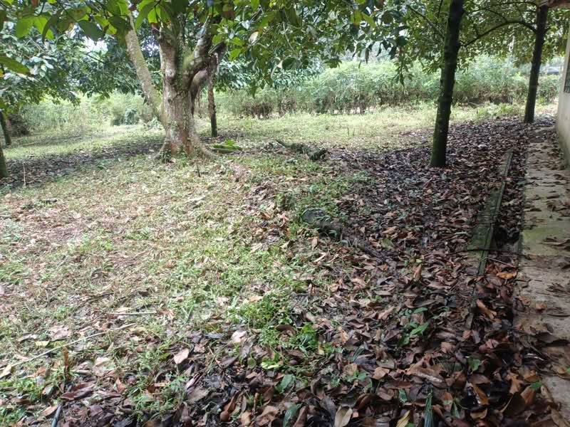 Tanah Pertanian untuk Dijual di Kampung Lubok Kelubi (Hulu Langat) - Serena Ismail - PropertyGuru.com.my