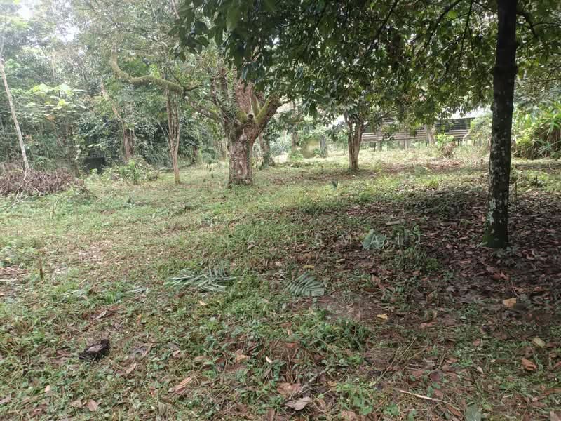 Tanah Pertanian untuk Dijual di Kampung Lubok Kelubi (Hulu Langat) - Serena Ismail - PropertyGuru.com.my