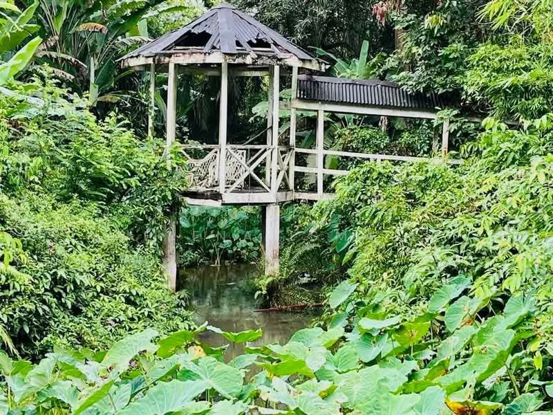 Tanah Pertanian untuk Dijual di Kampung Lubok Kelubi (Hulu Langat) - Serena Ismail - PropertyGuru.com.my