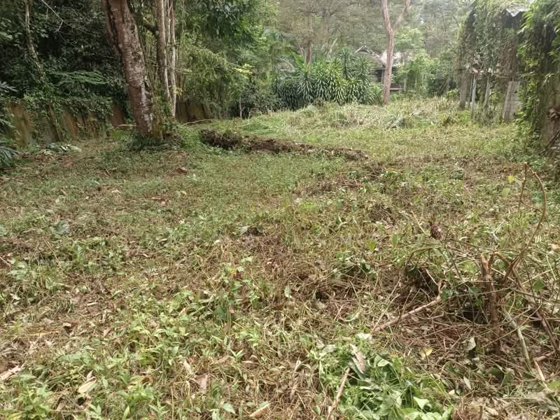 Tanah Pertanian untuk Dijual di Kampung Lubok Kelubi (Hulu Langat) - Serena Ismail - PropertyGuru.com.my
