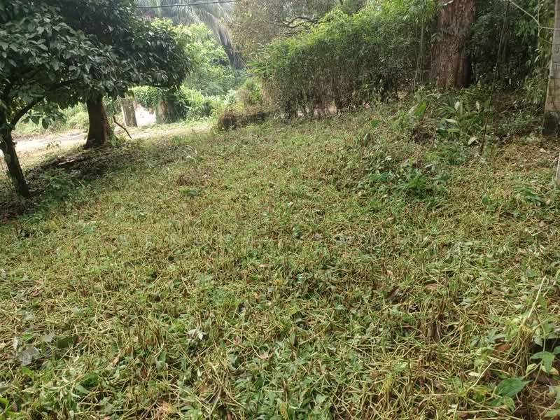 Tanah Pertanian untuk Dijual di Kampung Lubok Kelubi (Hulu Langat) - Serena Ismail - PropertyGuru.com.my
