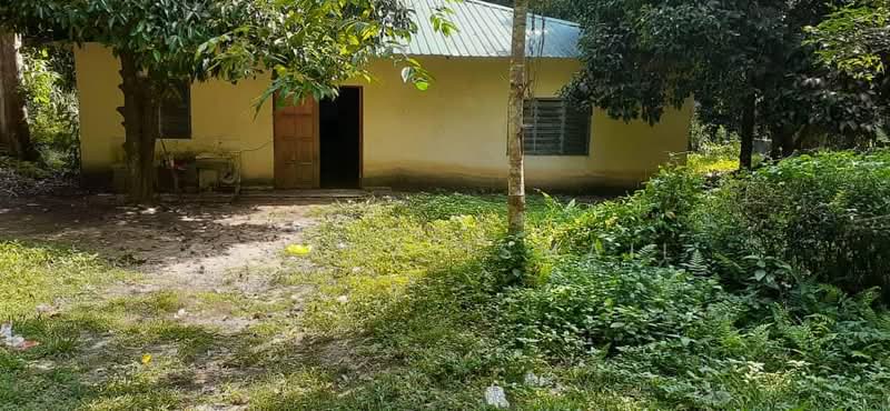 Tanah Pertanian untuk Dijual di Kampung Lubok Kelubi (Hulu Langat) - Serena Ismail - PropertyGuru.com.my