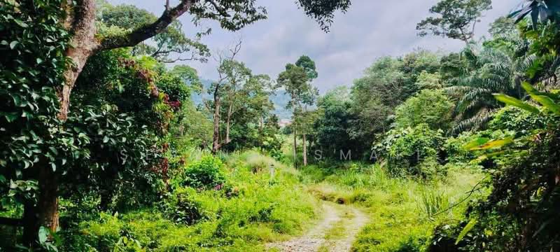 Tanah Pertanian untuk Dijual di Kampung Lubok Kelubi (Hulu Langat) - Serena Ismail - PropertyGuru.com.my